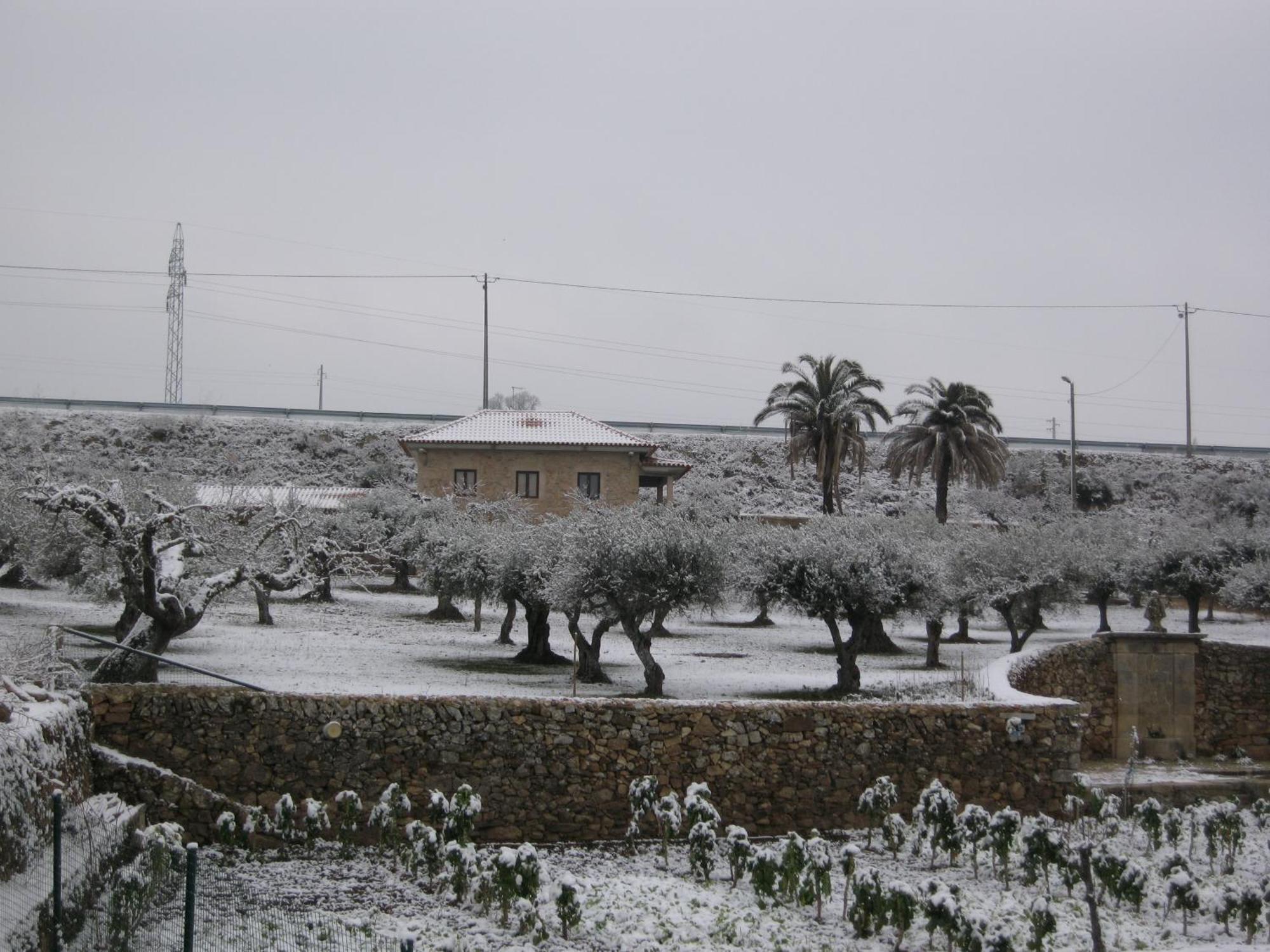 Quinta Das Pias - Holiday Farm Pinhel Exteriör bild