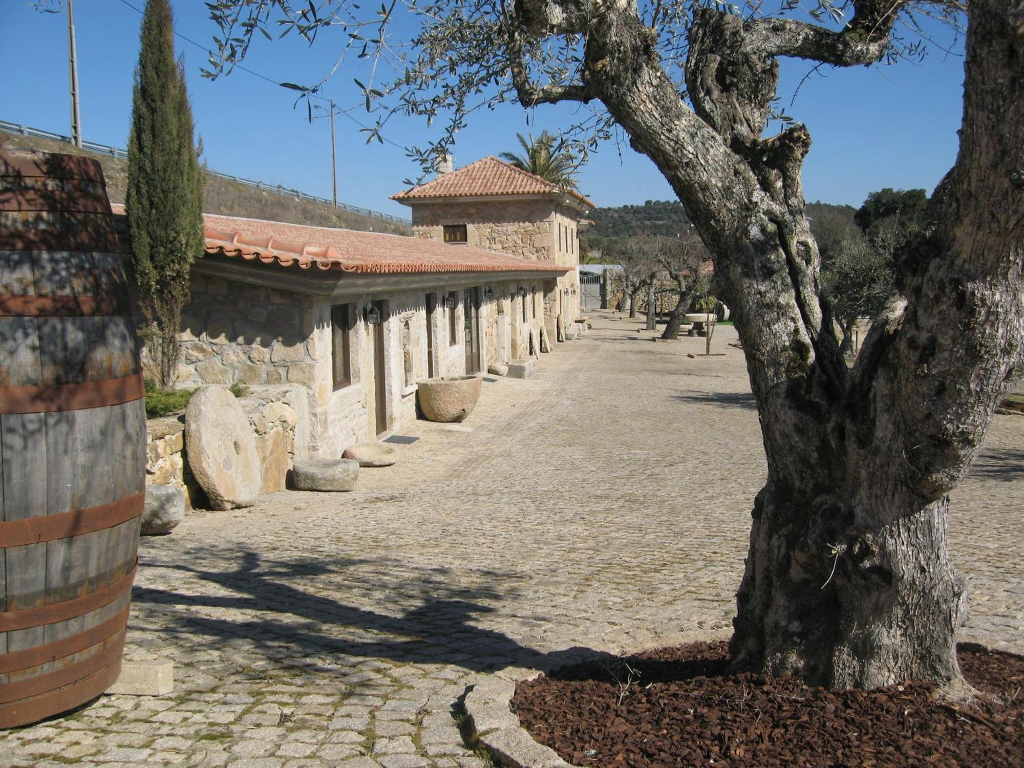 Quinta Das Pias - Holiday Farm Pinhel Exteriör bild