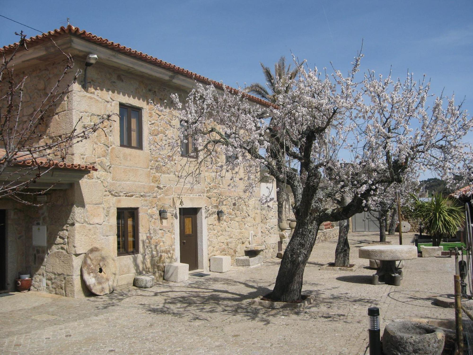 Quinta Das Pias - Holiday Farm Pinhel Exteriör bild